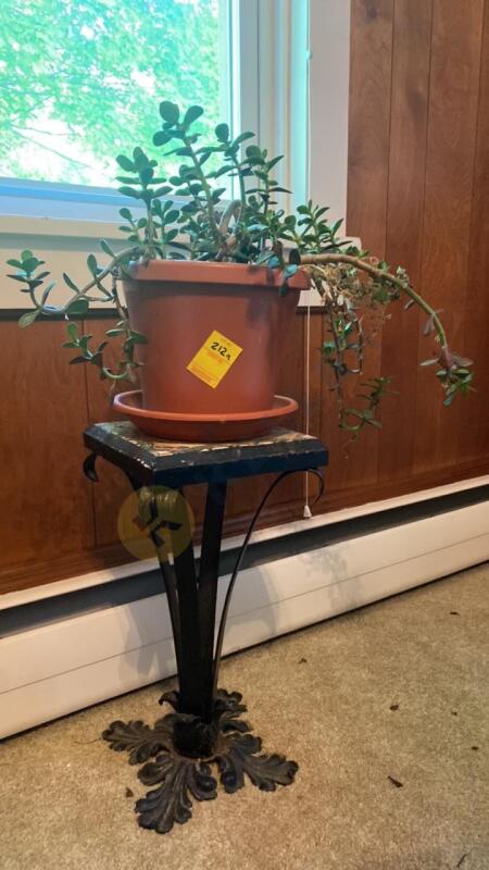 Live Plant and Tile Top Plant Stand