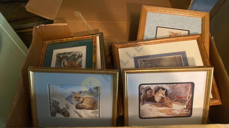 Variety of Framed Fox Prints