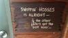 Saddle Wall Mounts, Horse Bits, Ribbons, and More - 4