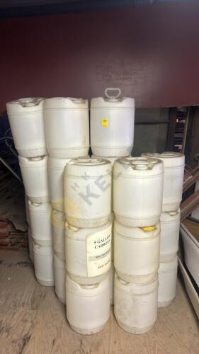 24 5 Gallon Carboys