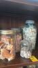 Collection of Sorted Seashells - 3