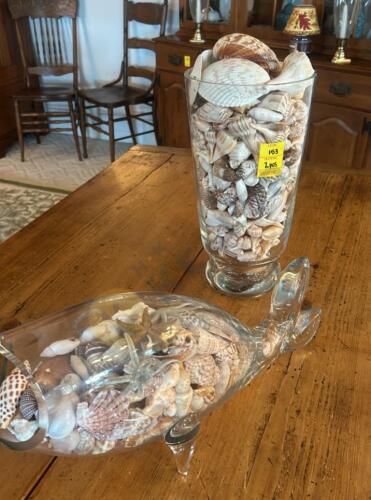 2 Vases Full of Seashells