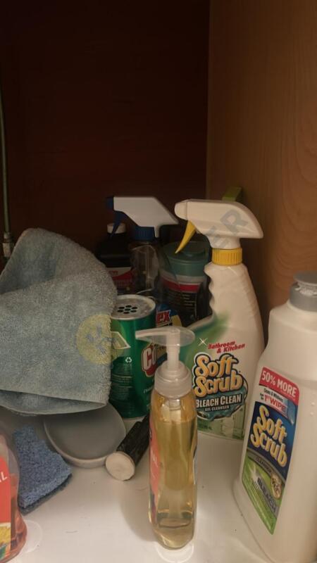 Contents Under Bathroom Sink