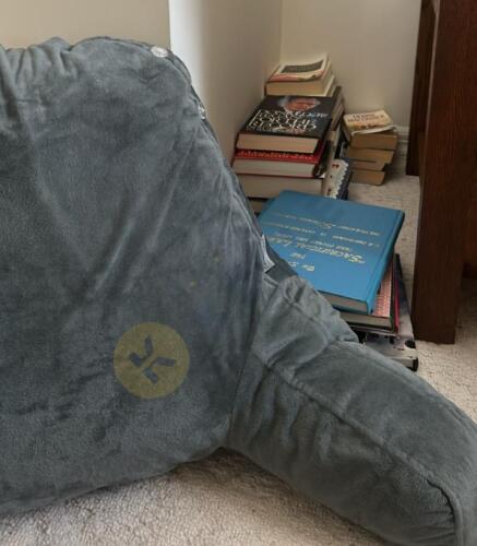 Books and Chair Pillow