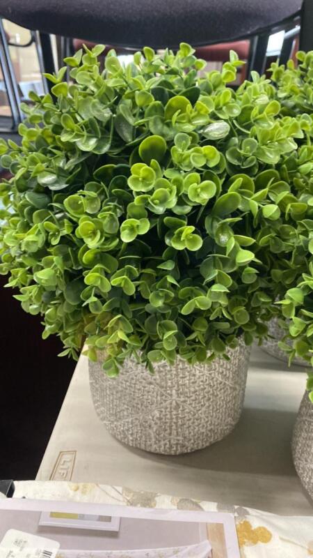 Faux Boxwood Plants, Frames, Flameless Candles, and More