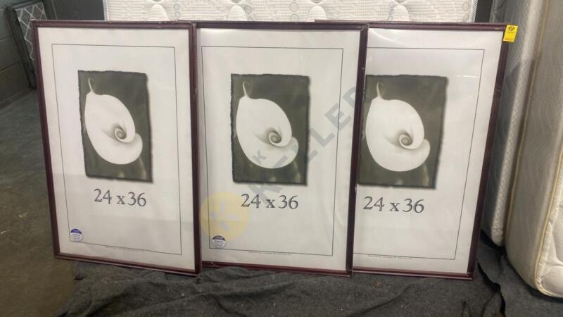 Three 24"x 36" Frames