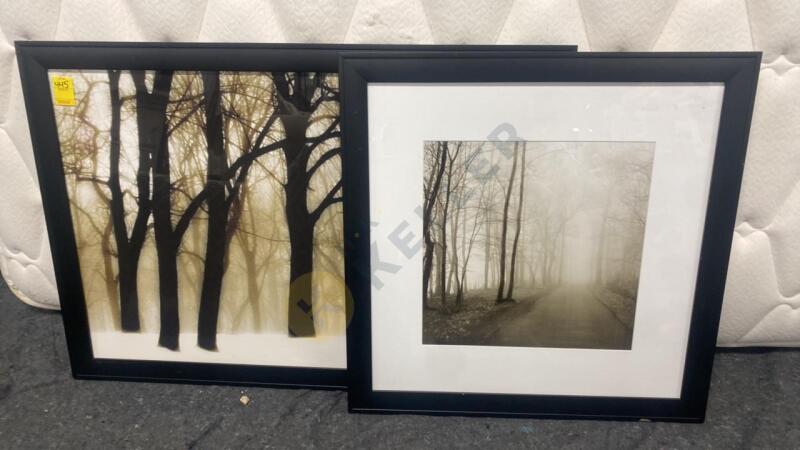 2 Forest Wall Art Pieces