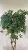 Ficus Tree with Basket Base and Basket - 4