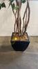 Ficus Tree with Metal Base - 2