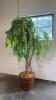 Weeping Artificial Tree with Basket Base