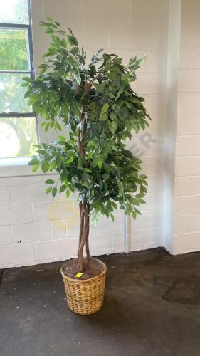 Artificial Ficus Tree with Basket Base