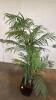 Tropical Palm Faux Plant - 3