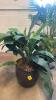 Tropical Faux Plants - 2