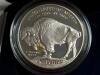 2001 American Buffalo Proof Silver Dollar Coin - 3