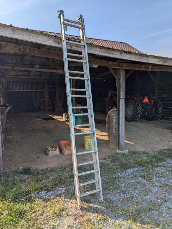 20' Extension Ladder