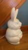 Easter Bunny Blow Mold - 3