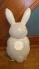 Easter Bunny Blow Mold - 4