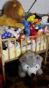 Stuffed Animals and Crib - 2