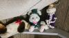 Stuffed Animals and Crib - 5