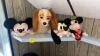 Mickey and Minnie Mouse Stuffed Toys and More - 2