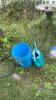 Garden Hose, Reel, Bird Bath Fountain, and More - 7