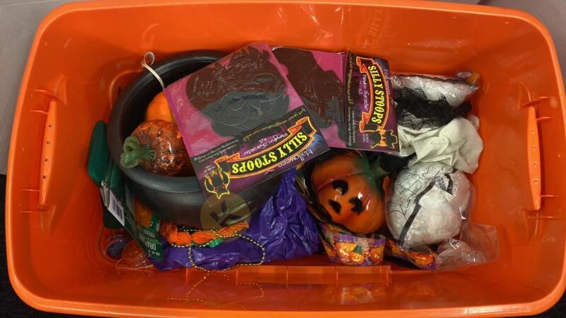 Storage Bin of Halloween Decorations