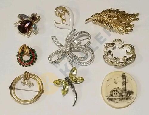 Unique Brooches and Pins with Case