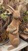 Resin Rabbit Yard Statue and More - 3