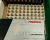 8mm Rifle Cartridges, 25 Auto Pistol Cartridges, and Some Used Shell Casings - 2