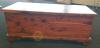 Cedar Trunk