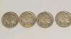 1911 Liberty Head V, Buffalo, and Newer Nickel Coins - 6