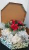 3 Christmas Wreaths and Storage Box