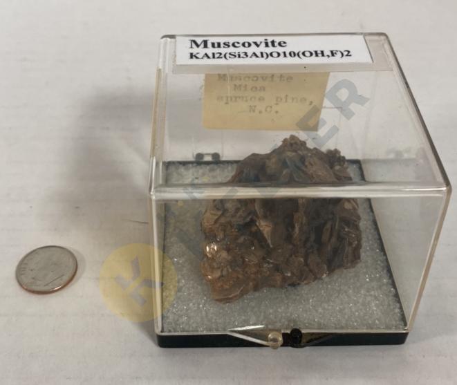 Muscovite