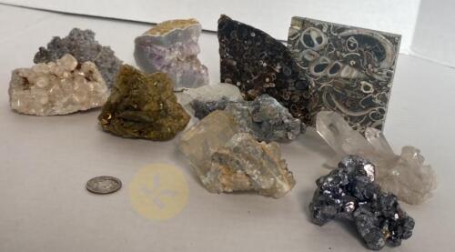 Minerals, Quartz Calcite, and Fossilized Agate