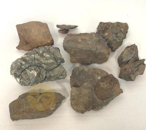 Perry County Pyrite and More