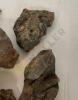 Perry County Pyrite and More - 7