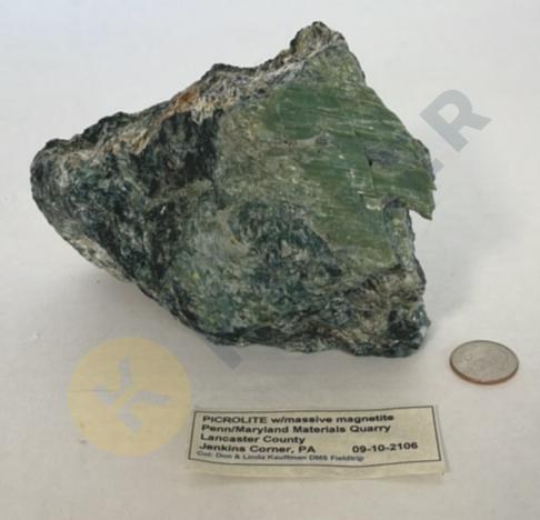 Picrolite With Massive Magnetite
