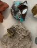 Rocks, Crystals, and More - 13