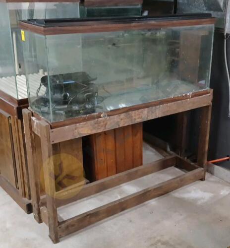 Fish Aquarium