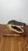 Alligator Head, Snake Sculpture, and More - 5