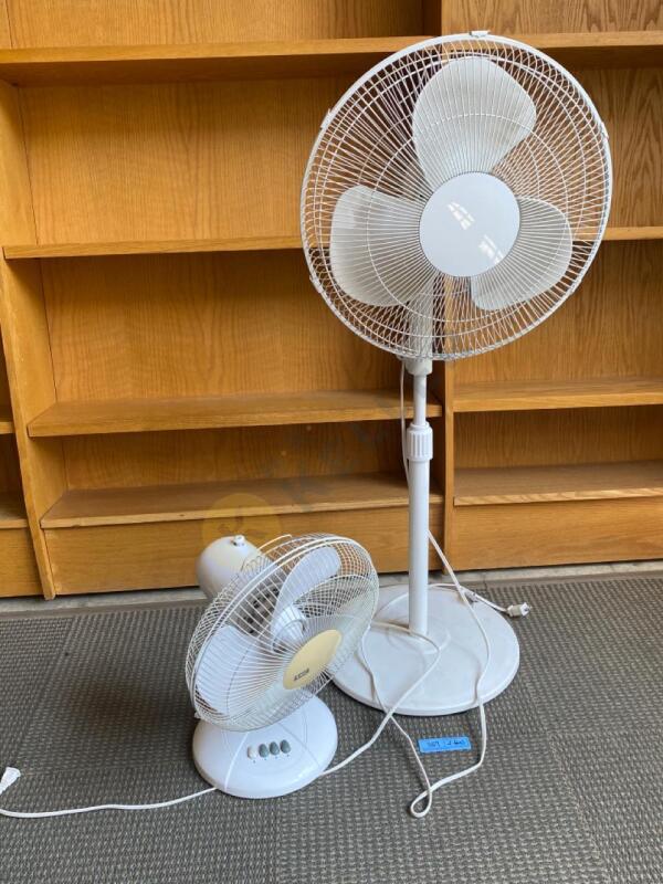Floor and Table Fan