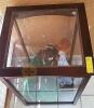 2 Porcelain Dolls in Glass Display Case - 6