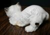 Cast Iron Painted Cat Doorstop and Ceramic Cat - 11