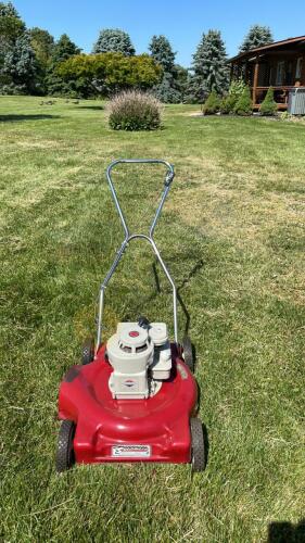 Briggs & Stratton 3 HP Sycamore Mower