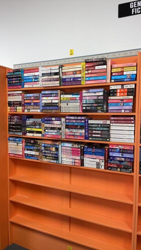 4 Shelves of Fiction Books