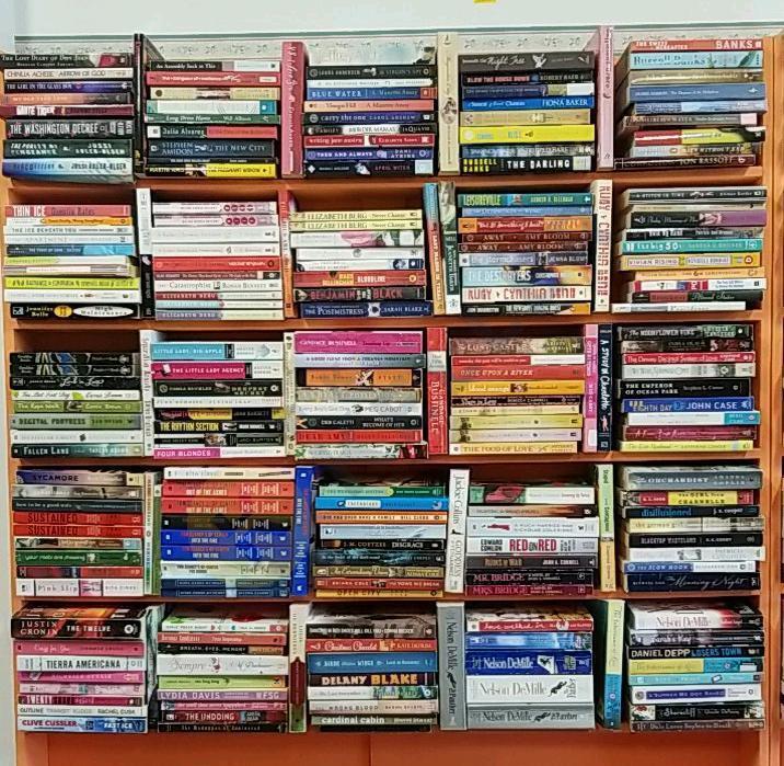 5 Shelves of Paperback Fiction Novels