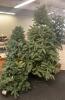 Artificial Christmas Trees and More