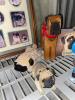 Pug Collectibles - 4