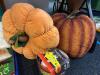 Fall & Halloween Decor and More - 2