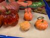 Fall & Halloween Decor and More - 3